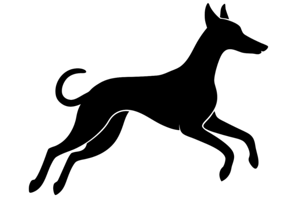Black Dog Silhouette Running Review